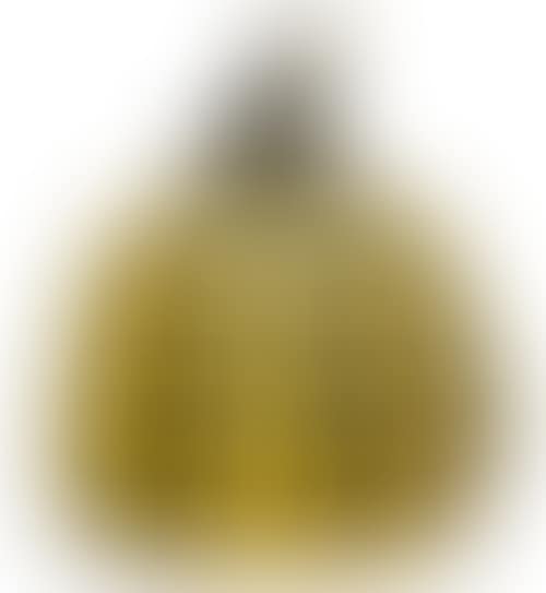 Pumpkin (yellow/black) (preview)