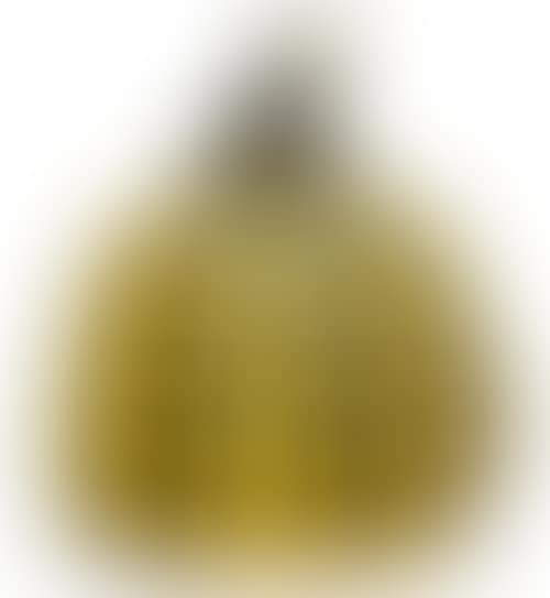 Pumpkin (yellow/black) (preview)