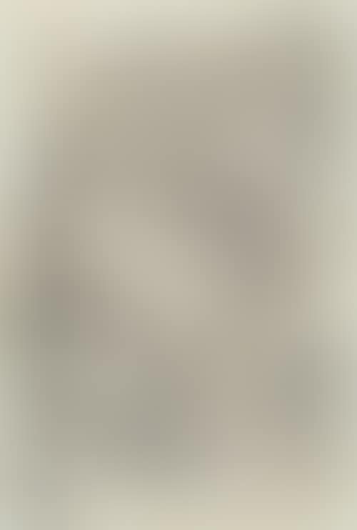 The Flagellation of Christ. (preview)