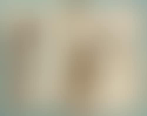 Two anatomical studies: 1. Thigh; 2. Male torso. (preview)