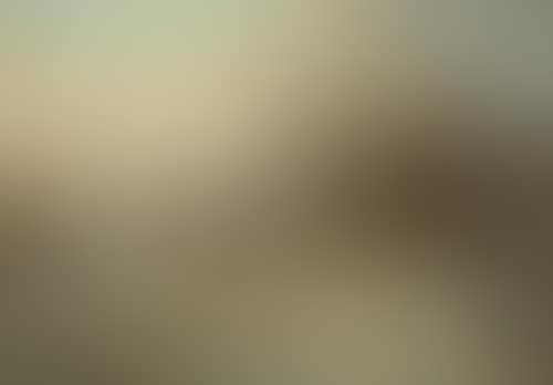 Winter landscape (preview)