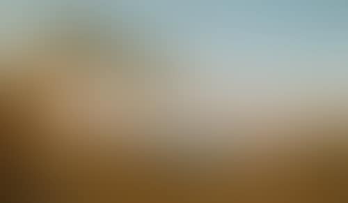 An Italian landscape with sea view. (preview)