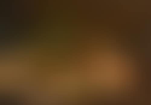 Still-life with fruit on a table with vine tendrils (preview)