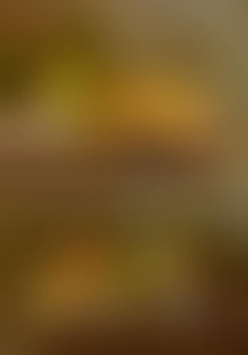 Pair of works: Fruit still-lifes. (preview)