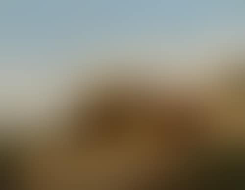 Sleeping traveller with two donkeys, a horse and a turkey (preview)