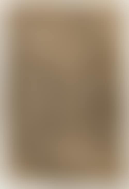The Virgin Mary presenting the Christ Child to a saint. (preview)