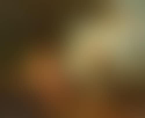 Bacchus with faun and a goatherd (preview)