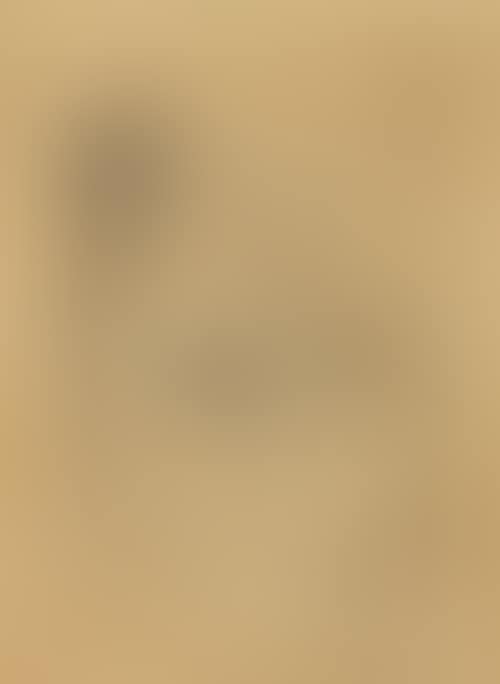 Gruppenbild mit Vogel und Fuchs (preview)