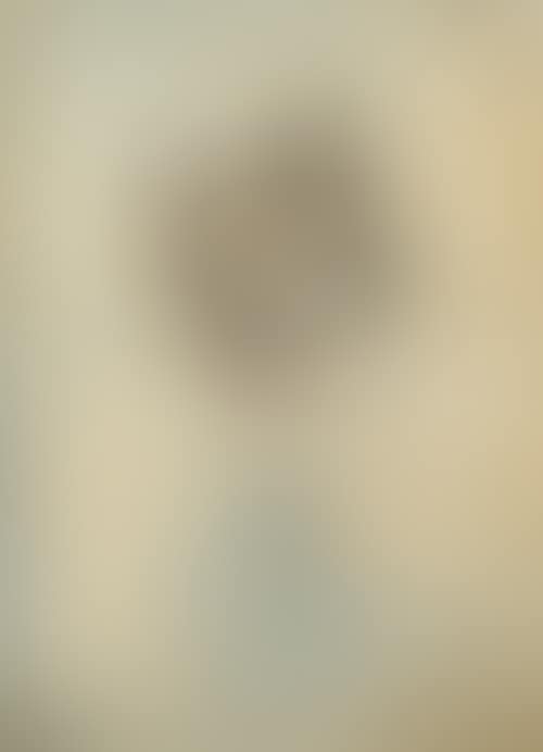 Portrait of a bearded man in a turban (preview)
