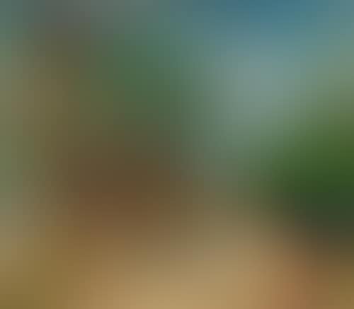 Promenade dans le parc (preview)