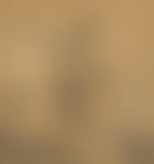 Horseman with turban and lance (preview)