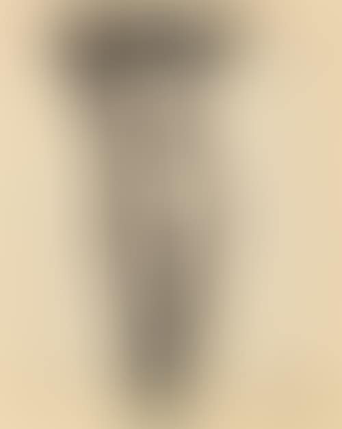 Female nude (preview)