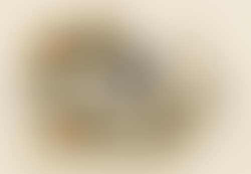 Nature morte (preview)
