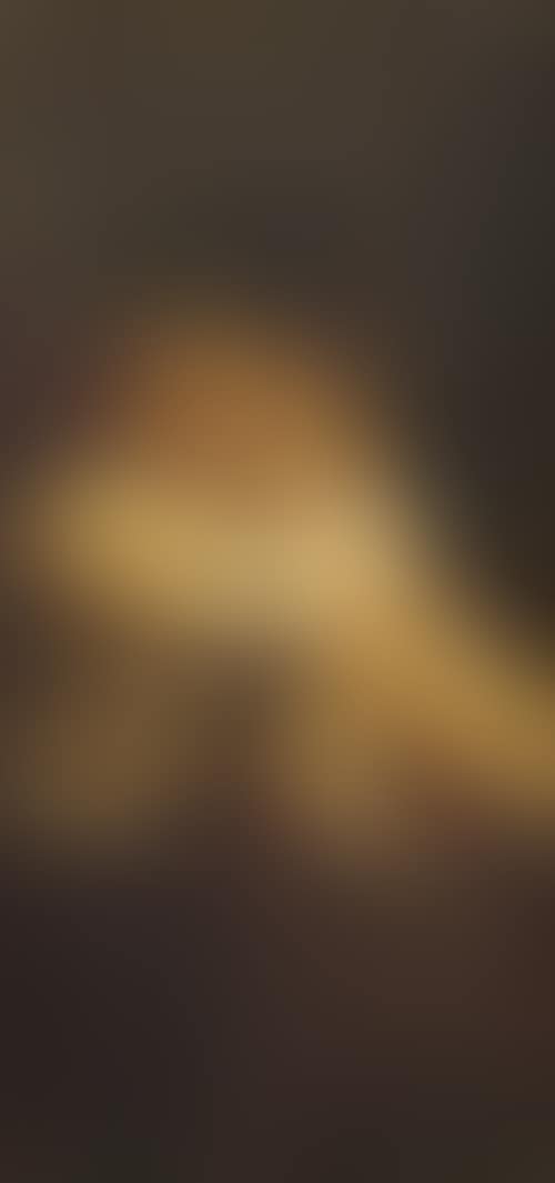 Portrait of the children of the house of Fürstenberg (preview)