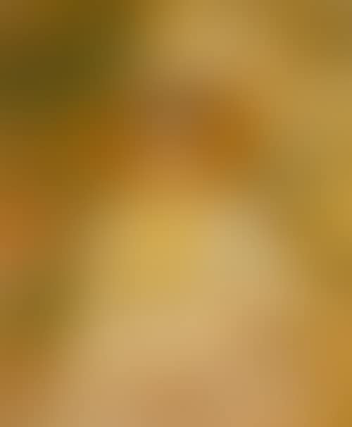 Girl in a sun hat (preview)