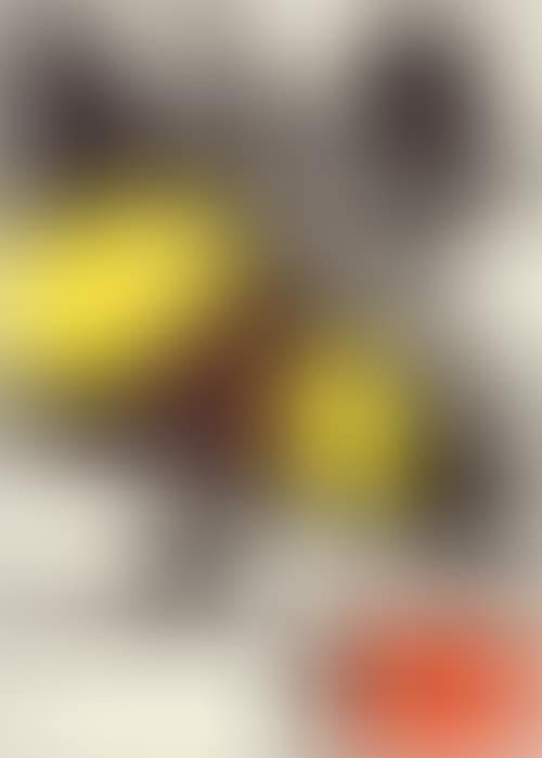 Ohne Titel (preview)