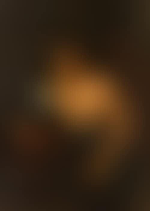 David with the head of Goliath (preview)