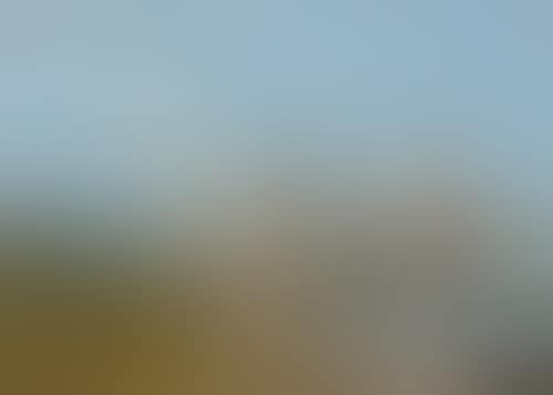 Trouville. Le Port (preview)