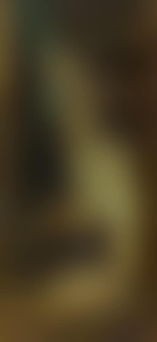 Das Ständchen (preview)