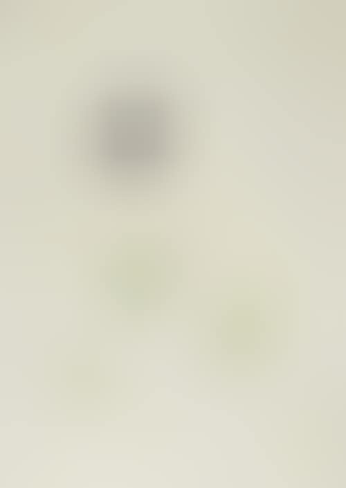 Cordiali Saluti dell"Entropia - Errore (preview)
