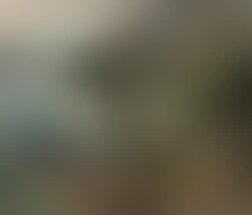 Village by the lake (preview)