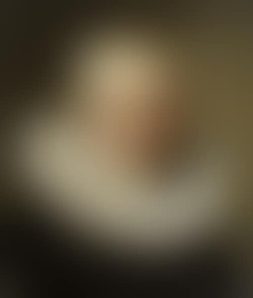 Portrait of a nobleman (preview)