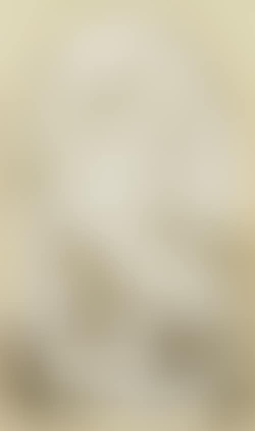 Jesus and the adulteress (preview)