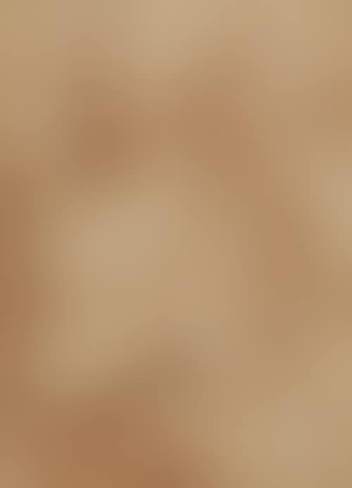 A saint in ecstasy held by two angels (preview)