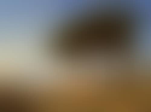 A beach in Cannes (preview)