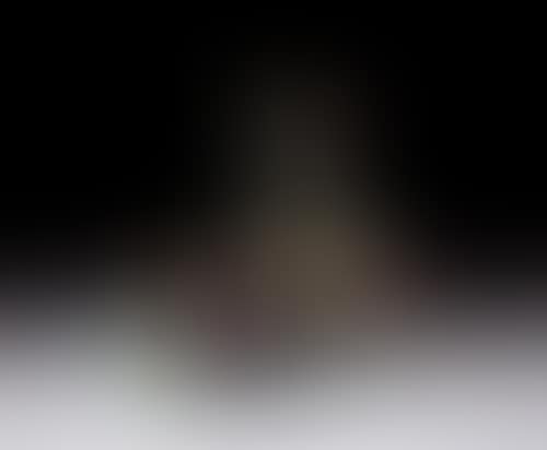Le Chat (preview)