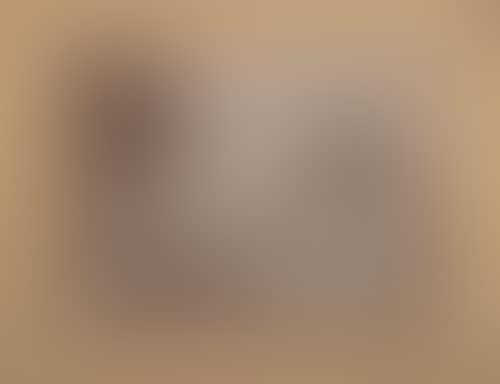 Landscape (preview)