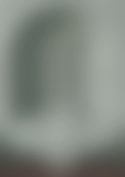 Still life with candle, scallop, egg and hand (preview)