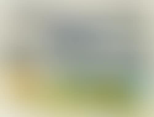 Landscape (preview)