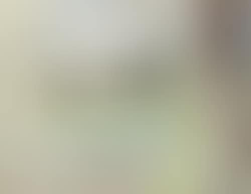 Paysage (preview)