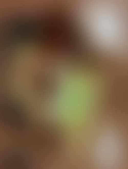 Bouteille et poires (preview)