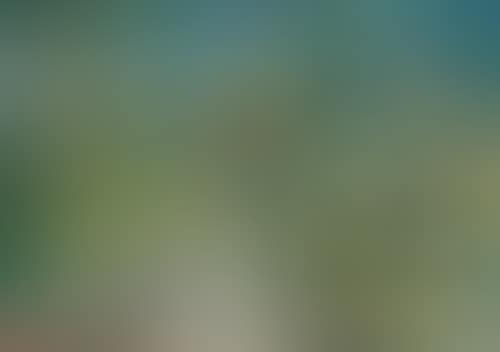 River landscape. (preview)
