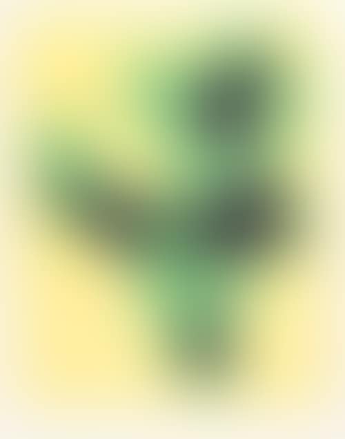 Composition in green and black on a yellow background (preview)