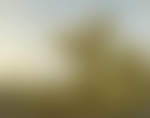 Landscape with cows, sheep and a donkey (preview)