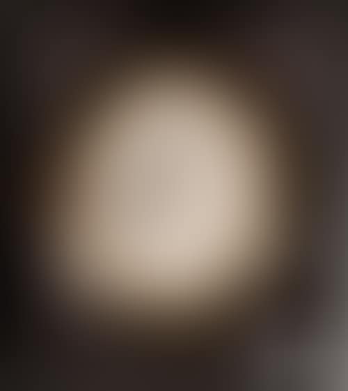 Portrait of a lady (preview)
