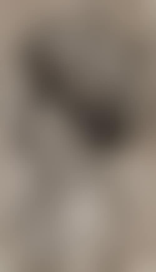 Profile of an oriental with turban (preview)
