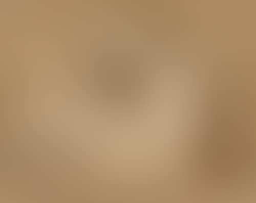 Study of a bearded man writing (preview)