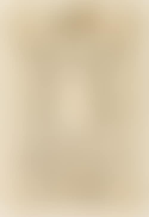 Sketch for an altar (preview)