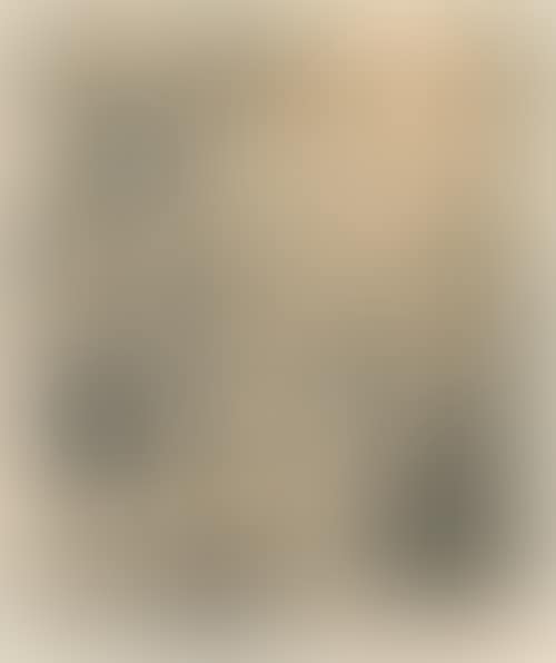 Veneration scene with princes and kneeling Sheperds (preview)