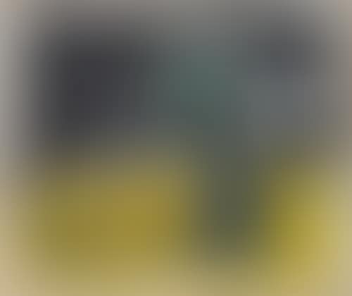 Nut (preview)