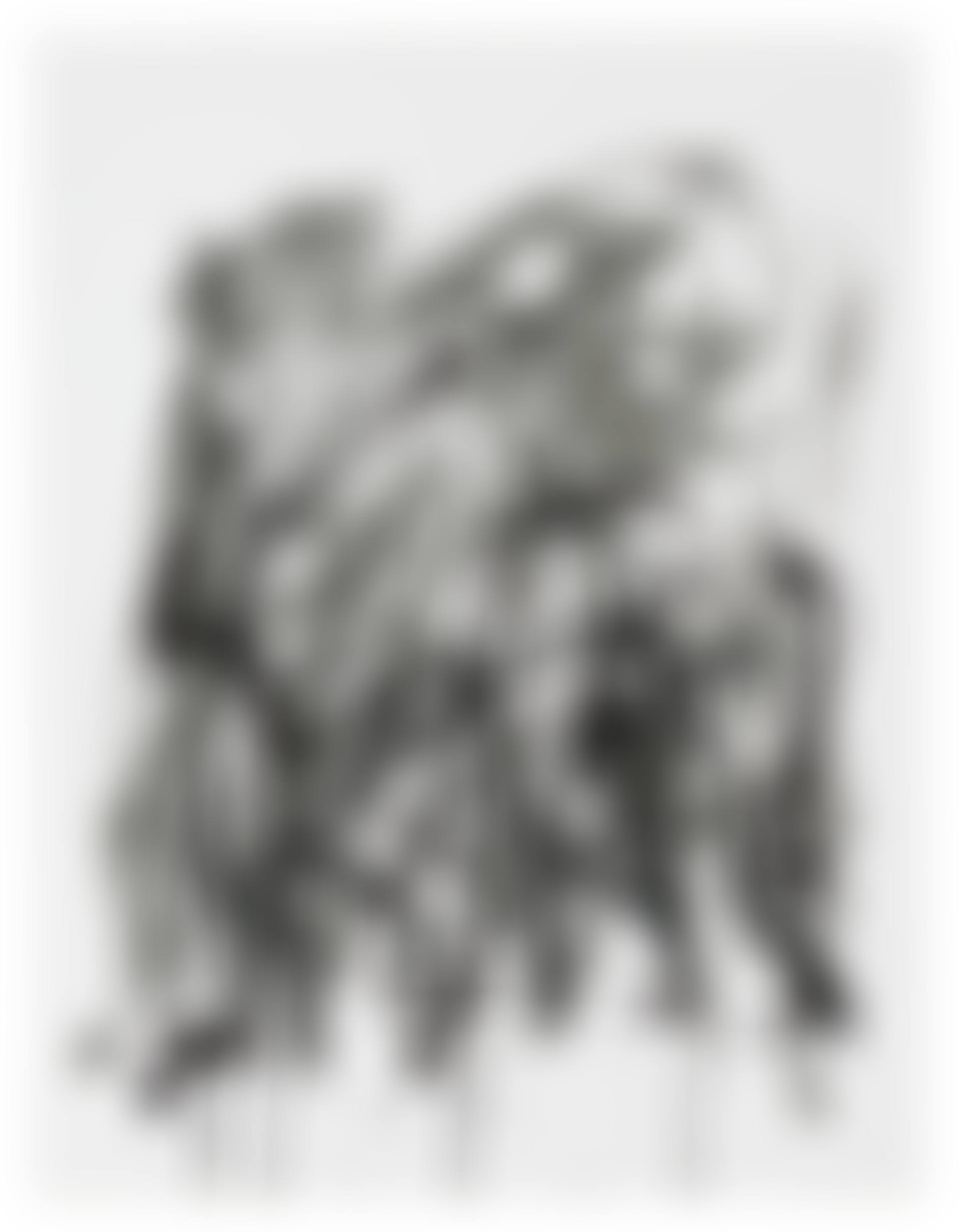Brush, State I, from Bedford Series; Brush, State I, from Bedford Series (preview)