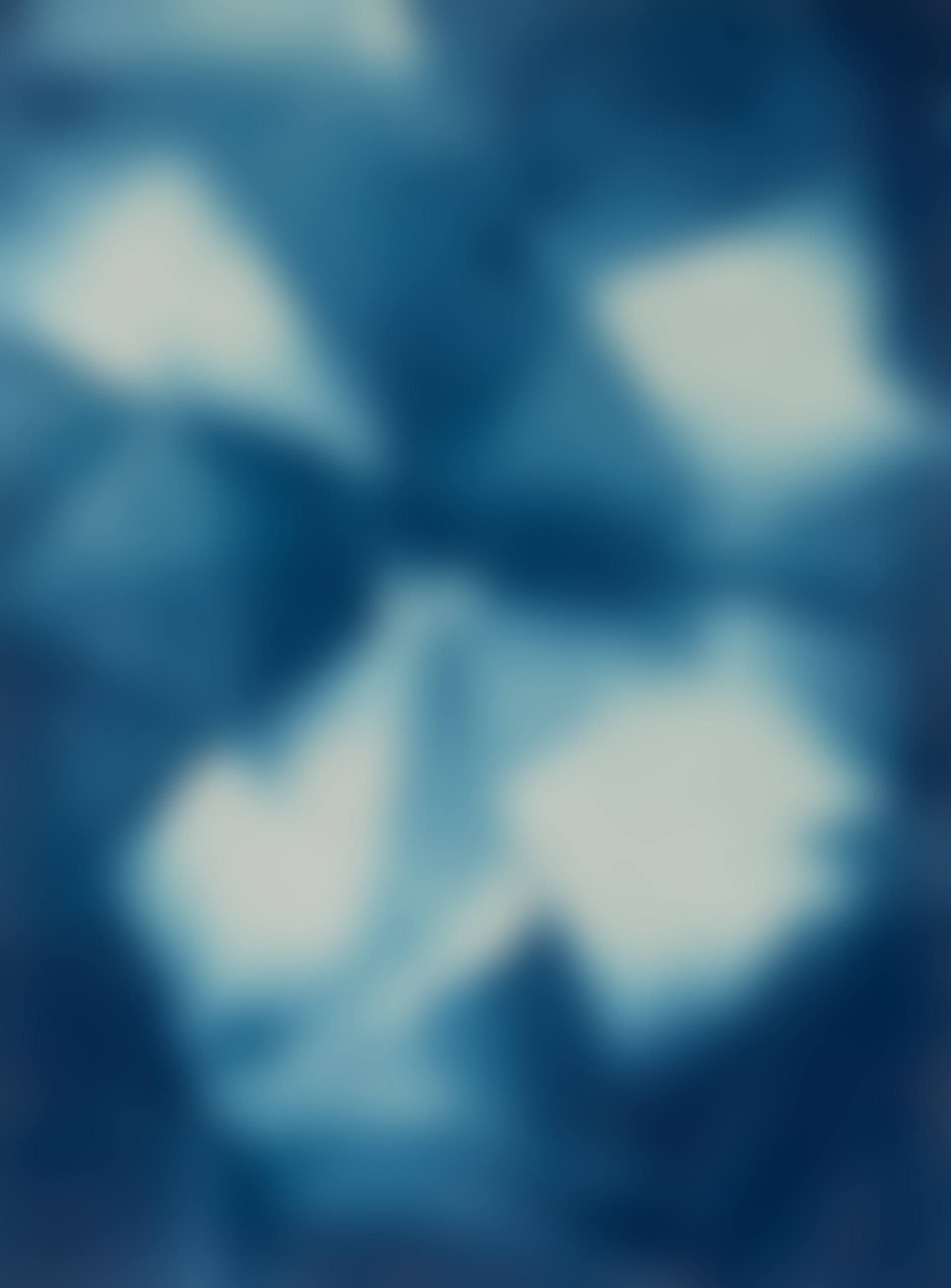 Untitled (preview)