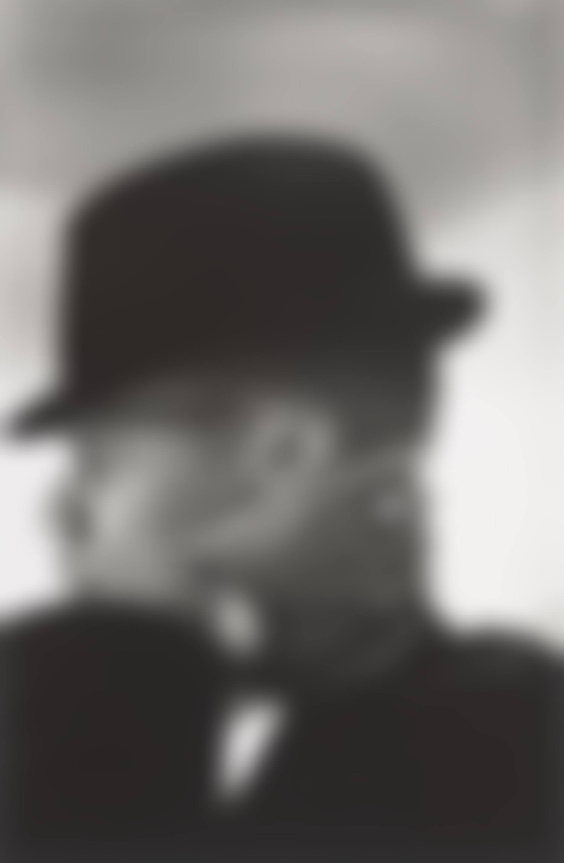 Malcolm X, Chicago (preview)
