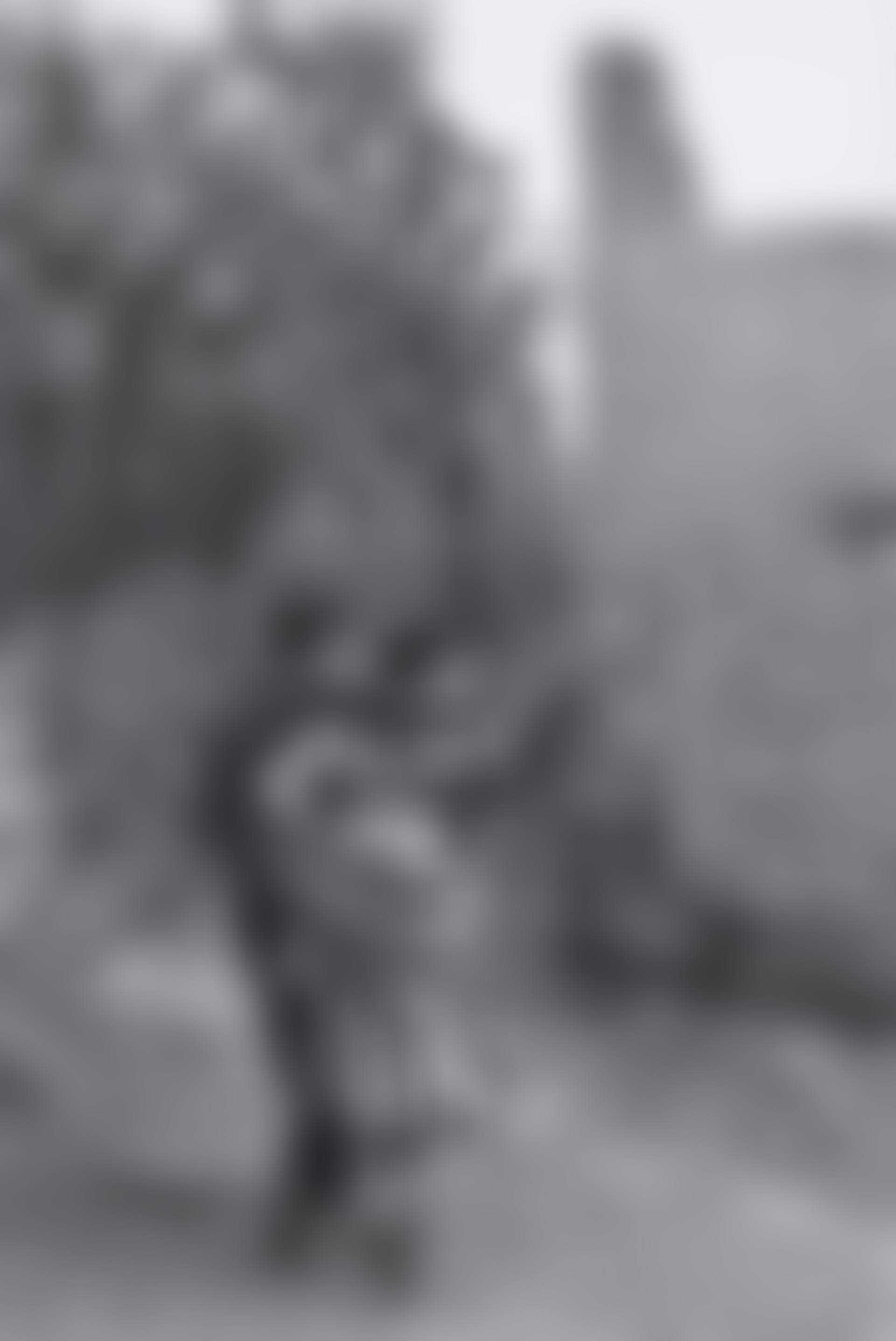 Untitled (Couple Walking) (preview)