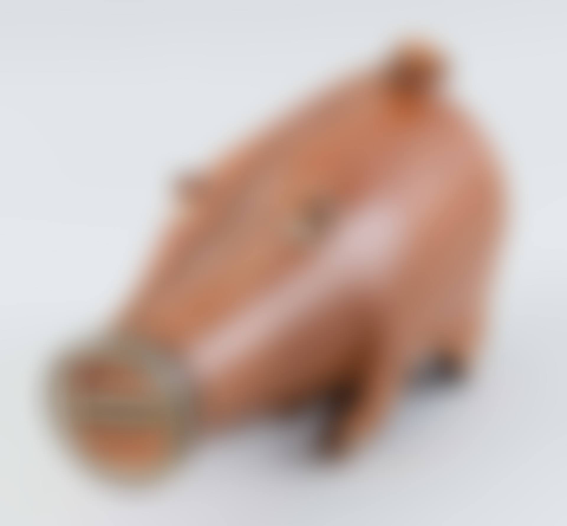 LEATHER-COVERED PIGGY BANK (preview)