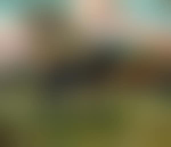 Donkeys (preview)
